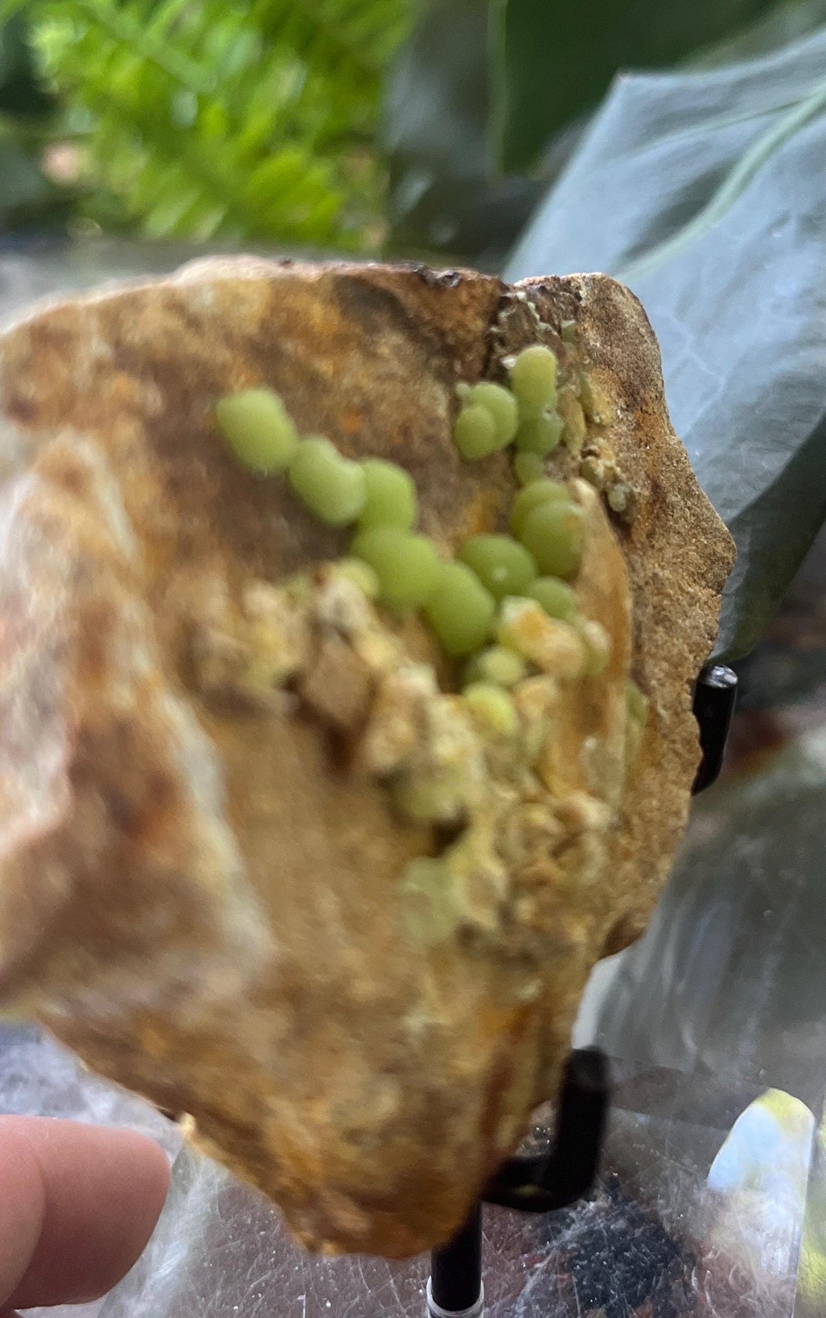 Botryoidal Pyromorphite Specimen, Vibrant Green Pyromorphite on Matrix