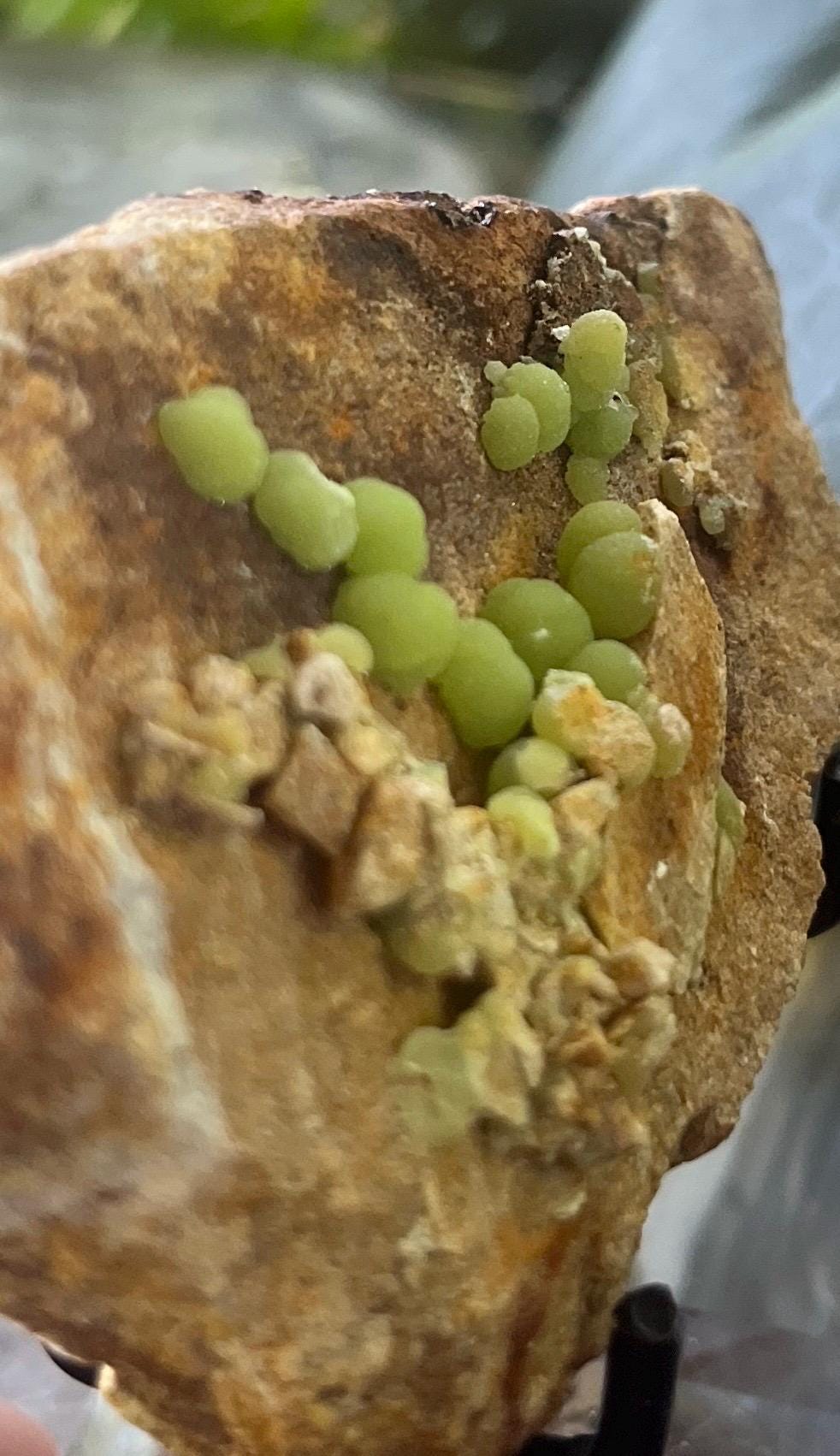 Botryoidal Pyromorphite Specimen, Vibrant Green Pyromorphite on Matrix
