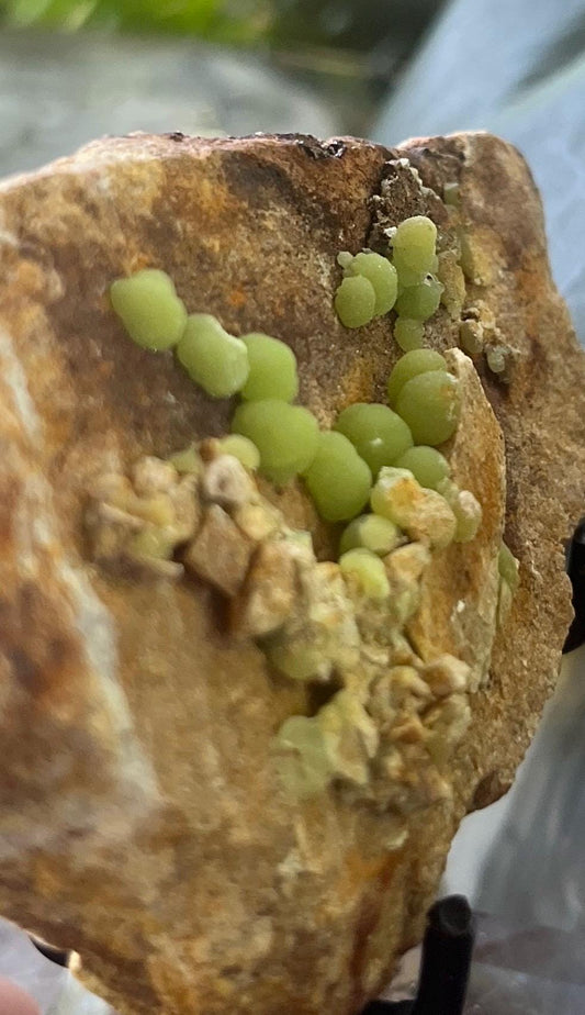 Botryoidal Pyromorphite Specimen, Vibrant Green Pyromorphite on Matrix