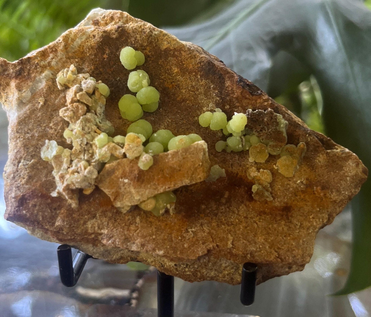Botryoidal Pyromorphite Specimen, Vibrant Green Pyromorphite on Matrix