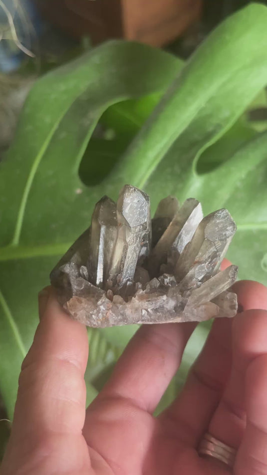 Natural Smoky Quartz Cluster | Dark Crystal Point Specimen | Healing Crystal for Grounding & Protection | Rare Home Decor Gift