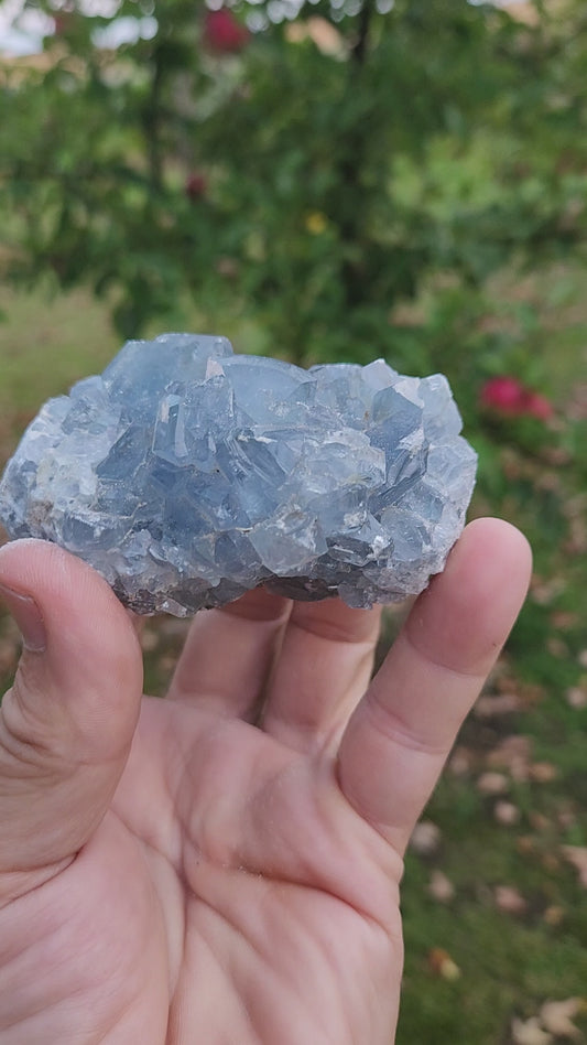Natural Celestite Cluster – Raw Blue Celestine Crystal for Healing, Meditation & Home Décor