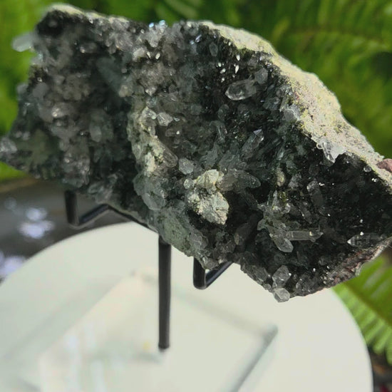 Black Epidote with Crystal Clear Quartz Cluster | Mineral Specimen