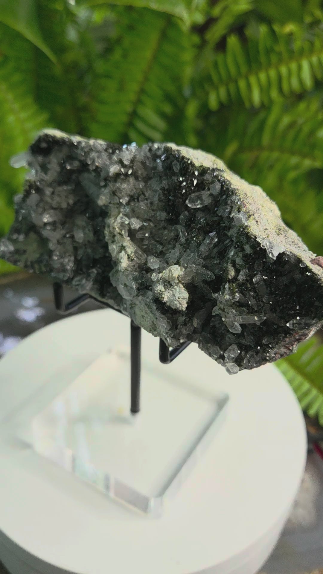 Black Epidote with Crystal Clear Quartz Cluster | Mineral Specimen