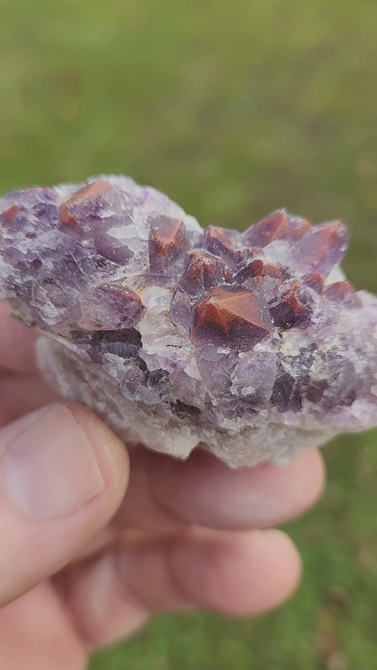 Super 7 Red Cap Amethyst – Thunder Bay, Canada | Rare Hematite-Capped Amethyst • High Vibration Stone • Collector Specimen