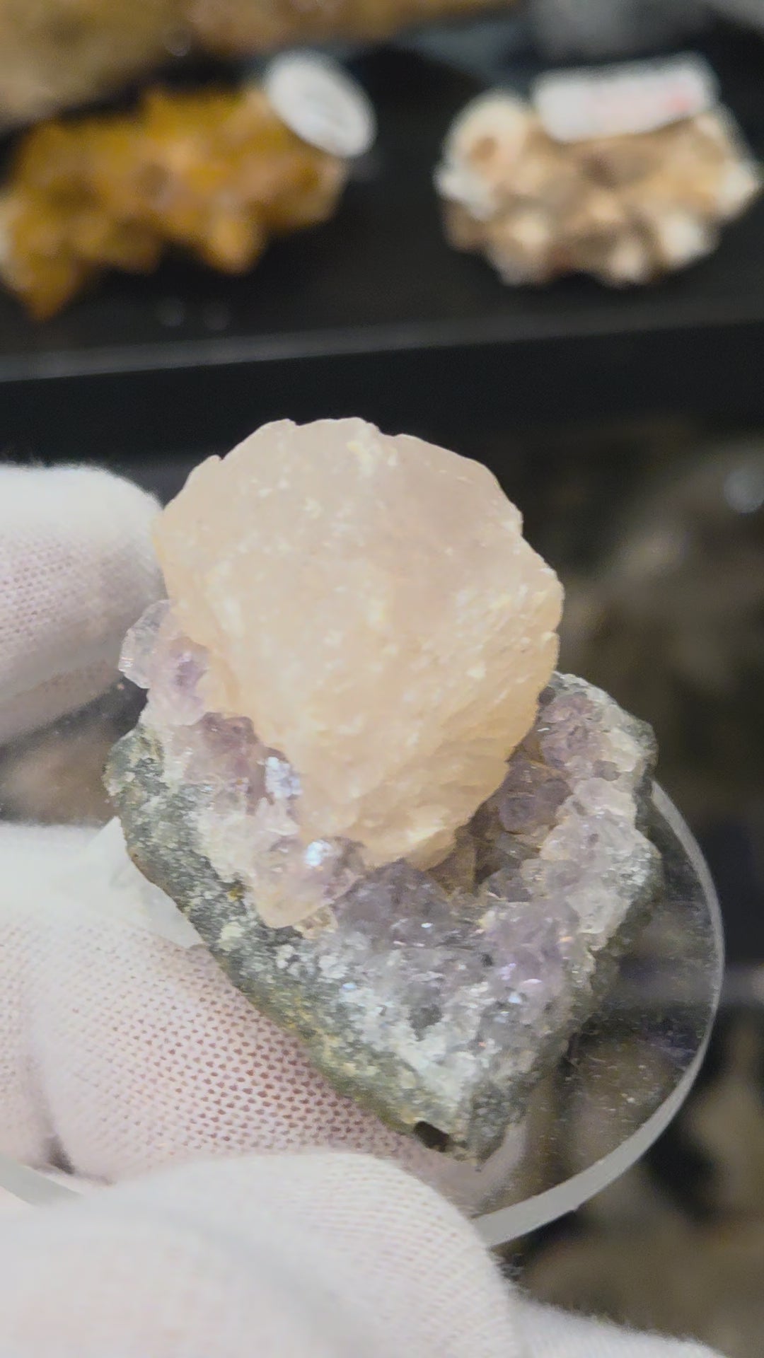 Botryoidal calcite on amethyst cluster specimen