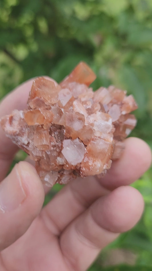 Brown Aragonite Crystal Cluster - Highly Valued for its Strong Connection to the Earth.