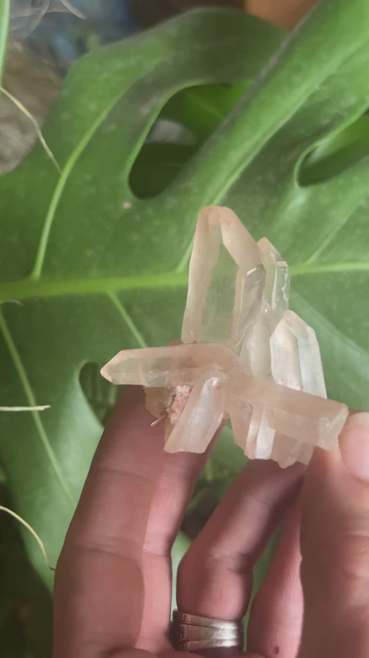 Exceptional Lumarian Quartz Cluster: High-Vibration Energy Amplifier