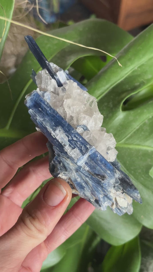 High-Grade Blue Kyanite with Quartz Cluster | Raw Crystal Specimen for Alignment & Communication