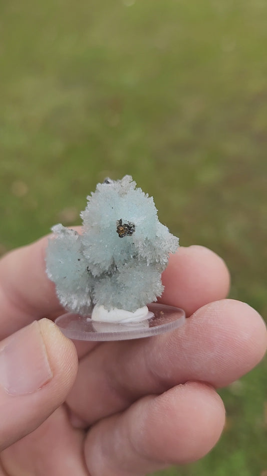 Blue Aragonite Crystal Cluster – Premium Collector Grade / Calming Healing Stone