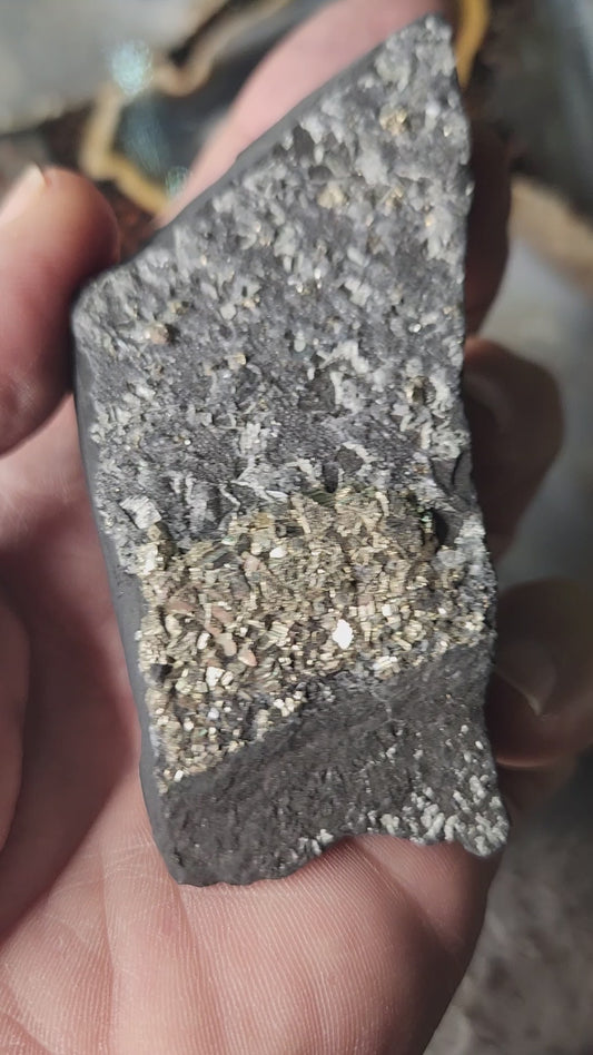 Raw Shungite with Natural Pyrite Inclusions – Russia | Elite Protection Stone • EMF Shielding • Collector Mineral Specimen