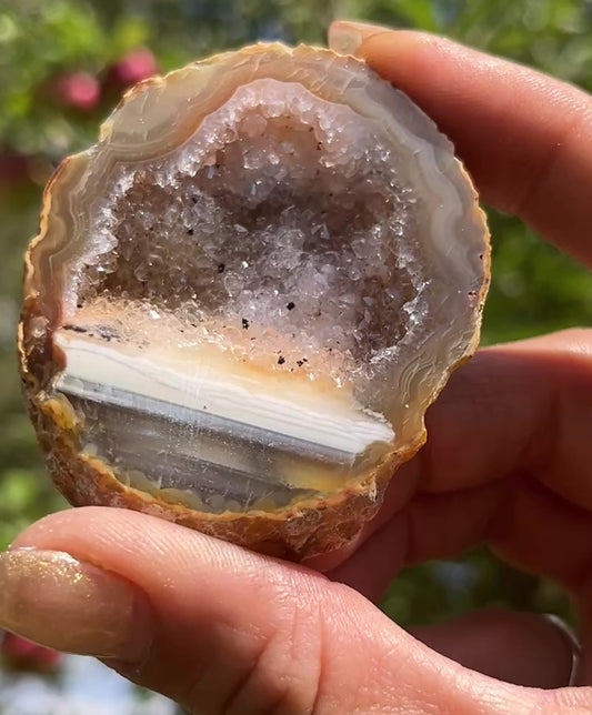 Agate Geode (half)