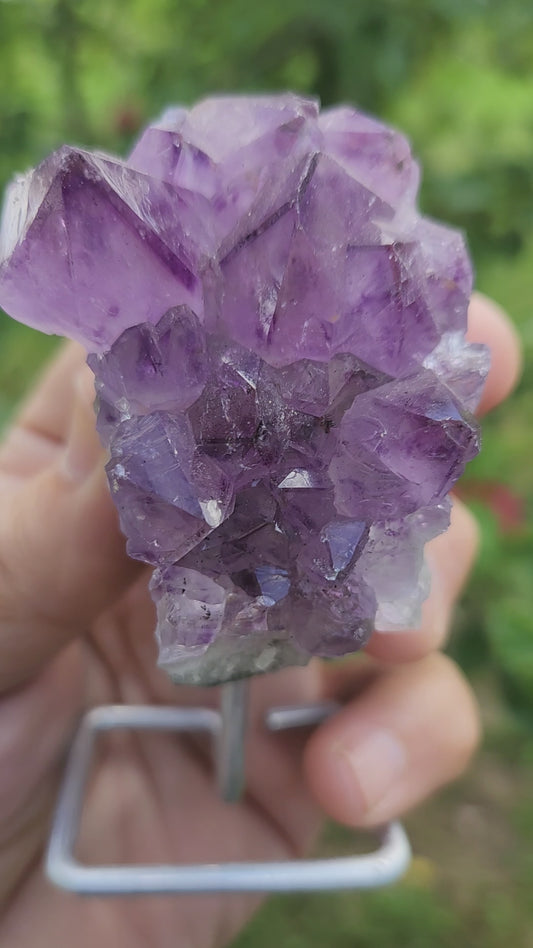Amethyst Crystal Cluster on Metal Stand - One Of The Most Versatile and Powerful Crystals for overall Mental Emotional and Spray Well Being!