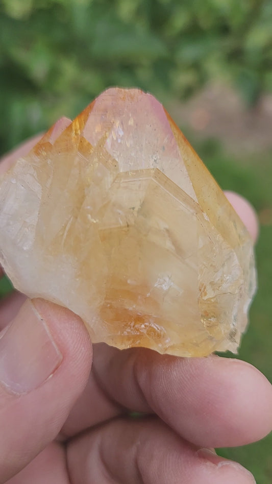 Citrine Crystal (heat treated) - Intense Fierry and Buzzy Manifestation and Abundance.