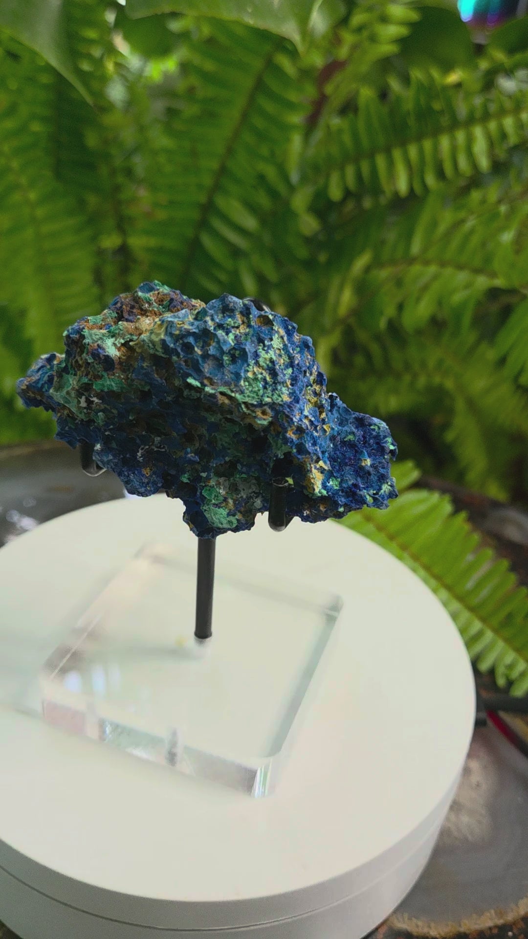 Azurite Crystal Cluster with Chrysocolla - video