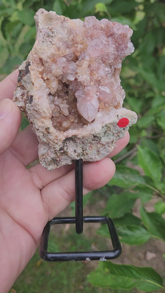 Pink Amethyst Crystal Geode on Stand - Gentle, Heart-Centered Energy - Emotional Healing and Spiritual Growth.