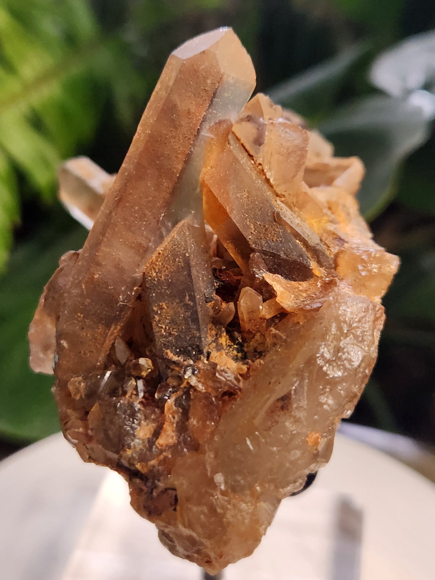 Natural Hematoid Smoky Quartz Crystal Cluster – Smoky Quartz with Hematite Inclusions
