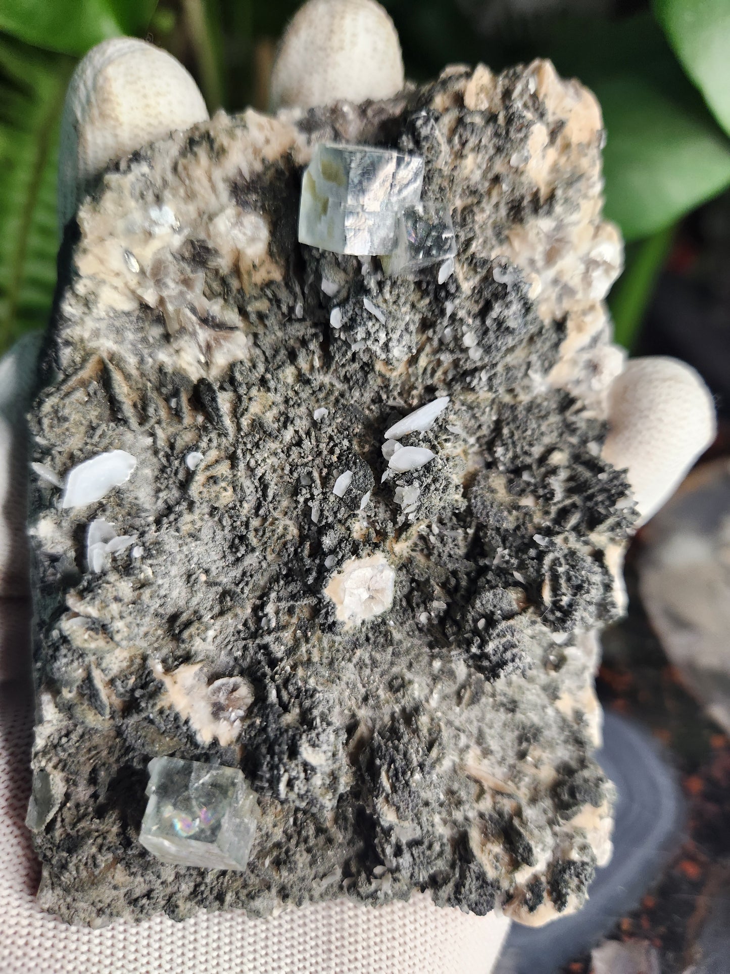 Natural Cubic Fluorite on Matrix – Sharp Green Fluorite Crystals with Textured Host Rock | Collector-Grade Mineral Specimen