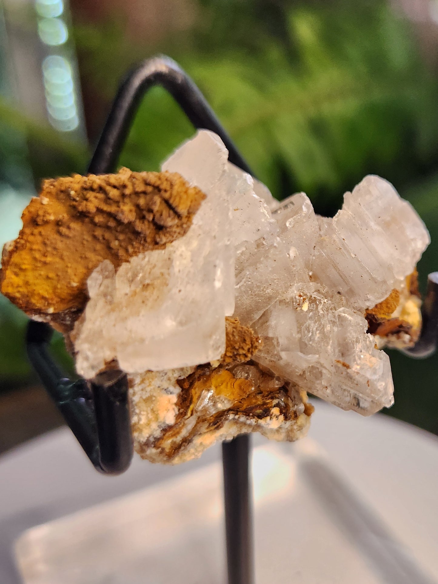 Blade Selenite Crystal Specimen — Natural Satin Spar Gypsum Cluster | Cleansing, Purification, High-Vibration Stone