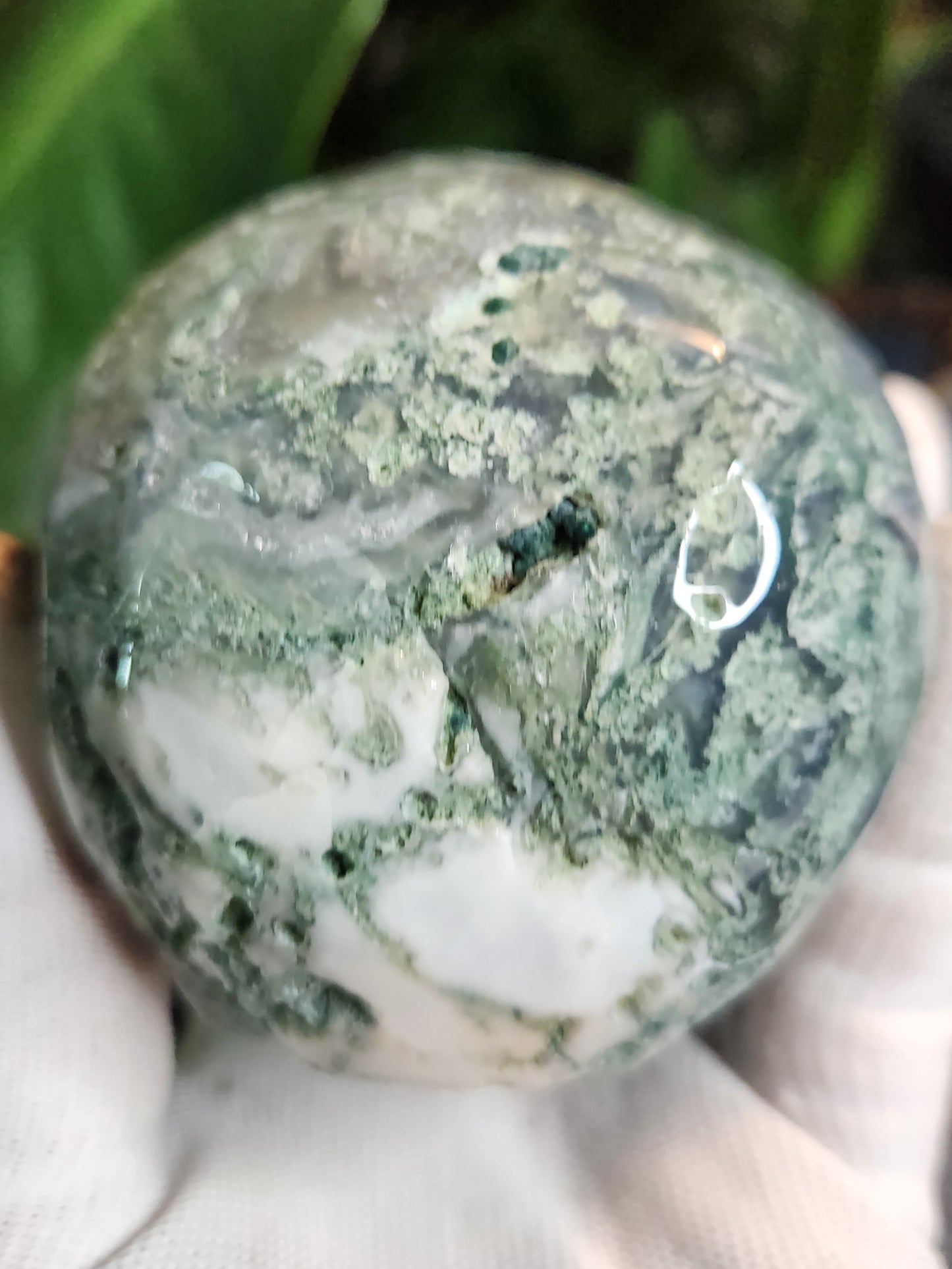 Hand-Carved Moss Agate Skull | Natural Green Chalcedony Crystal Skull | Grounding & Earth Energy Stone