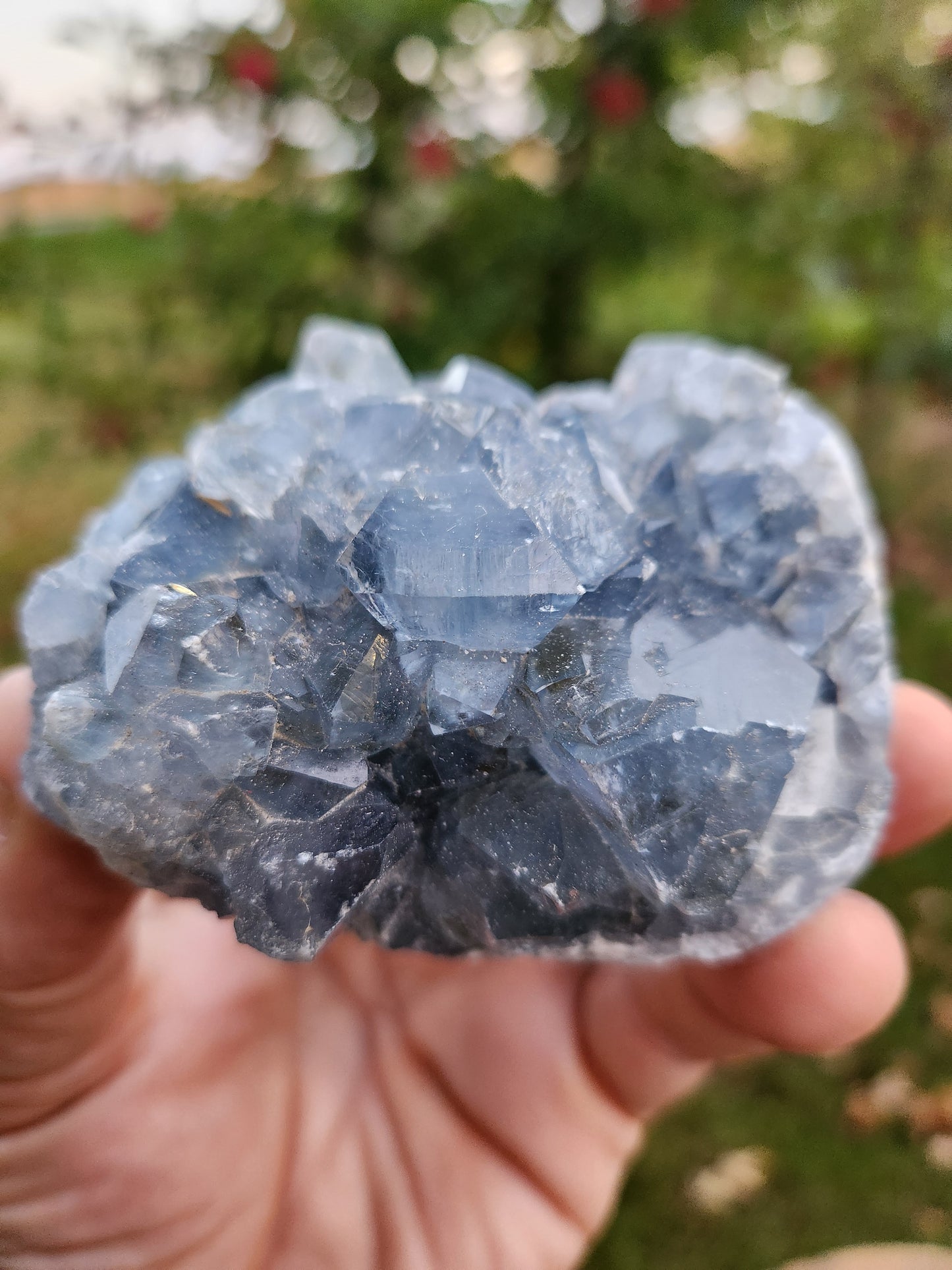 Natural Celestite Cluster – Raw Blue Celestine Crystal for Healing, Meditation & Home Décor