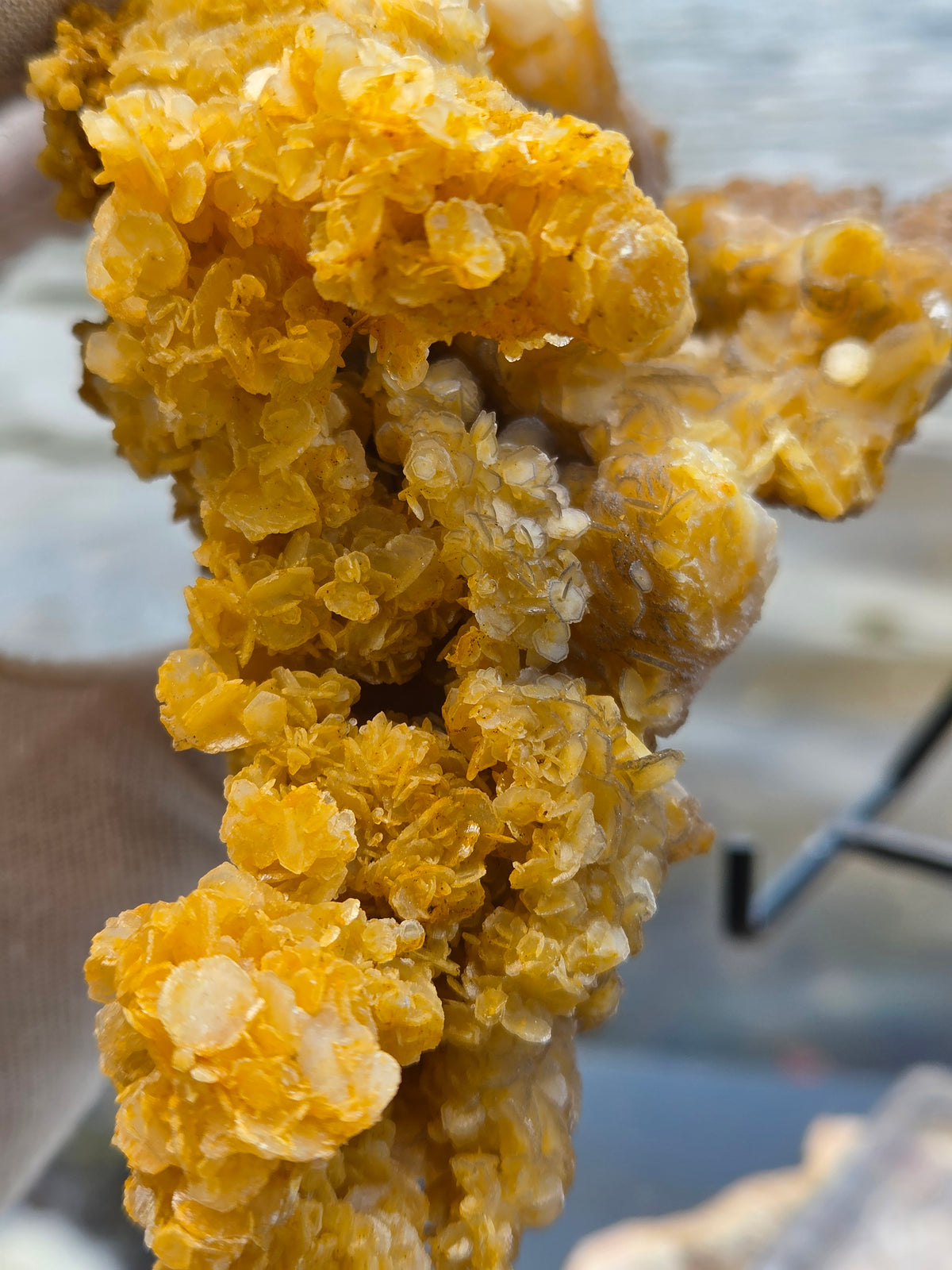 Large Golden Calcite Crystal Cluster | Large Orange Calcite Mineral Specimen