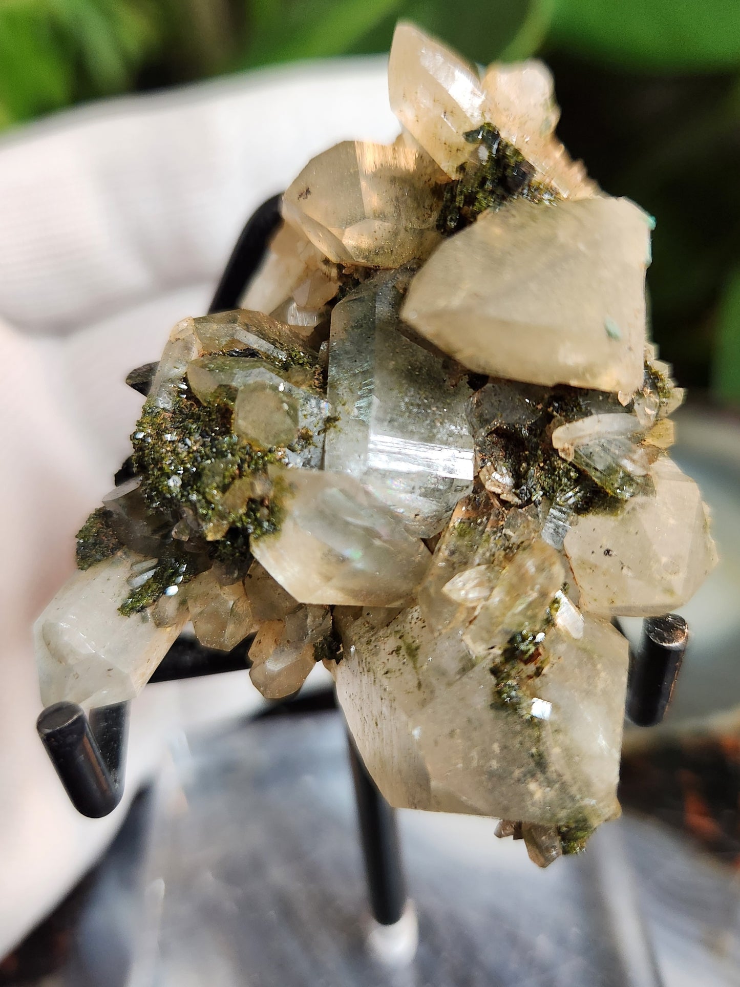 Forest Epidote with Druzy Quartz – Sparkling Green Growth Crystal | Collector Mineral | Grounding & Abundance Stone