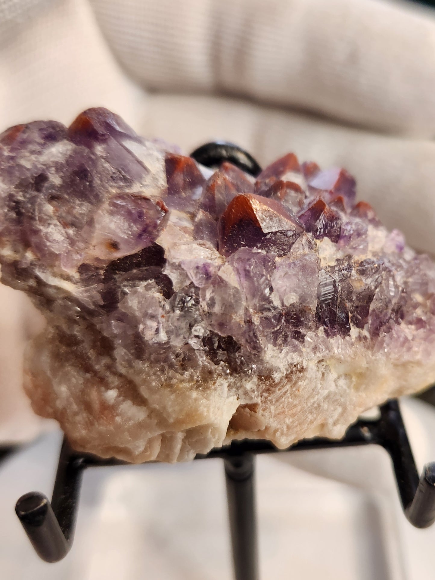 Super 7 Red Cap Amethyst – Thunder Bay, Canada | Rare Hematite-Capped Amethyst • High Vibration Stone • Collector Specimen