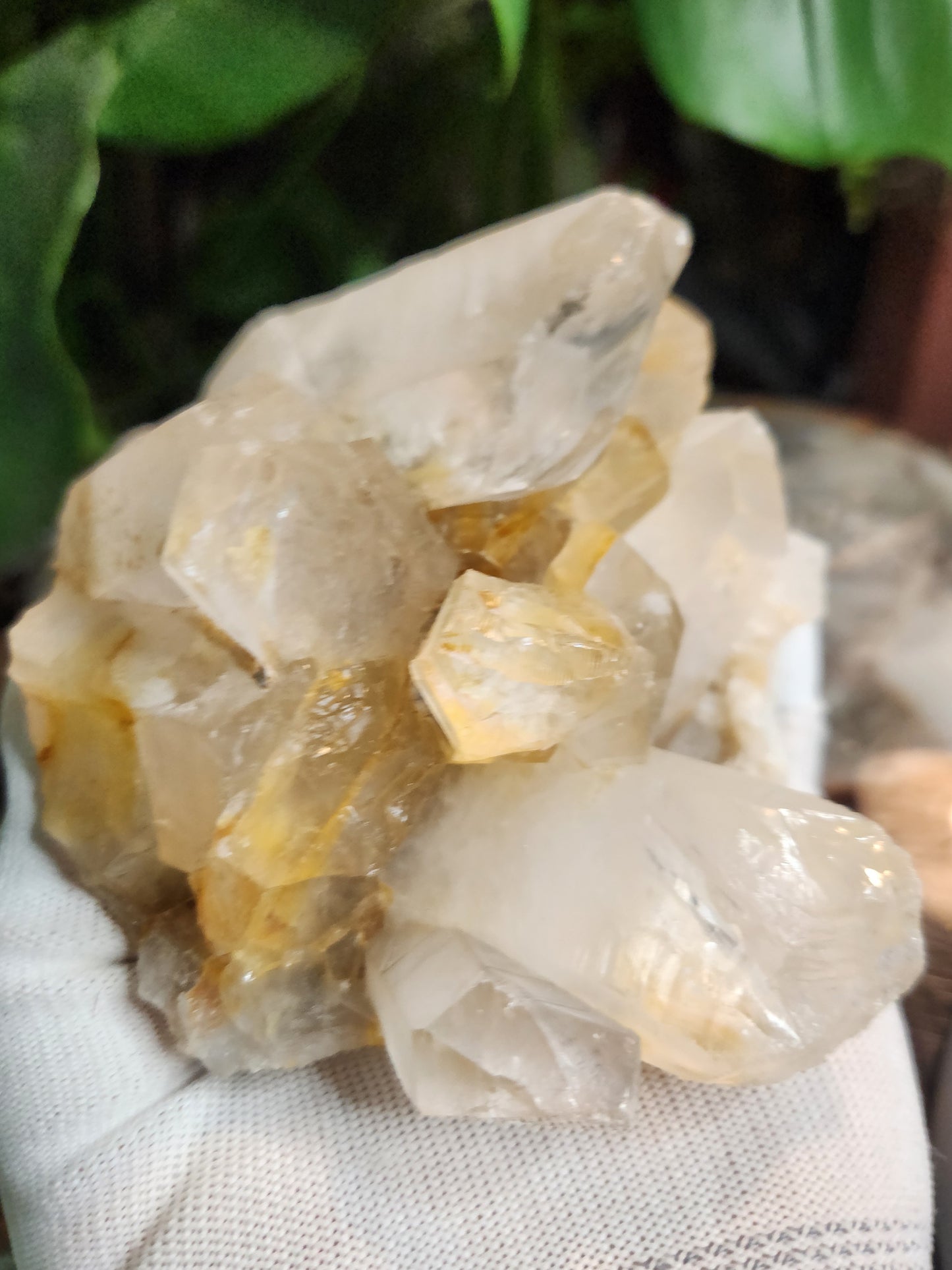 Stunning Hand-Carved Quartz Skull with Druzy & Natural Crystal Formations
