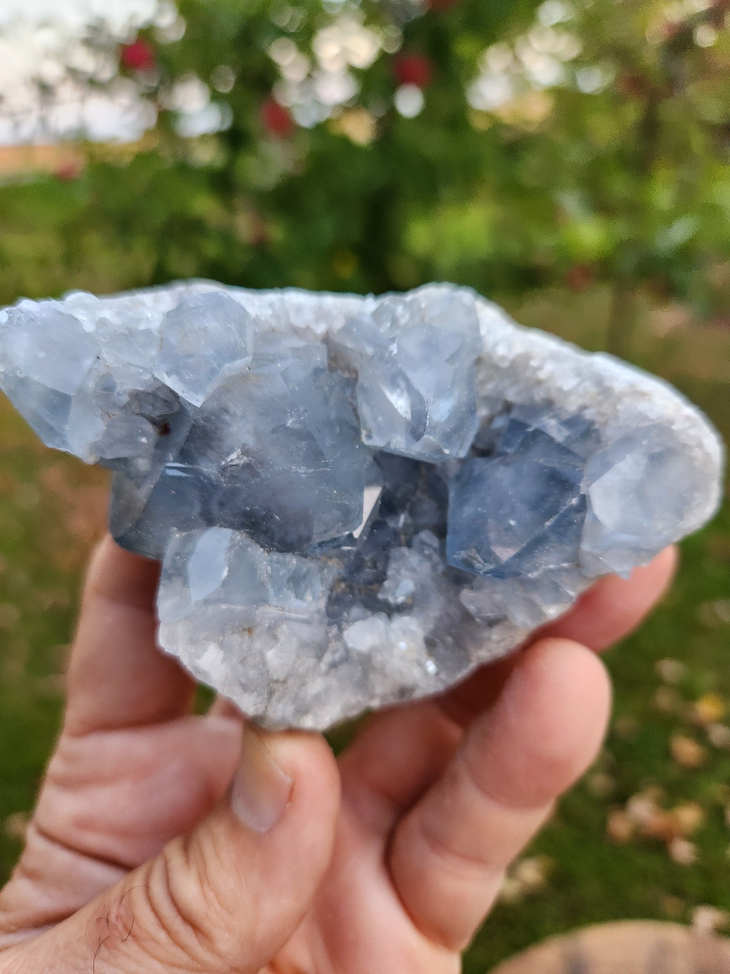 Natural Celestite Cluster – Raw Blue Celestine Crystal for Healing, Meditation & Home Décor