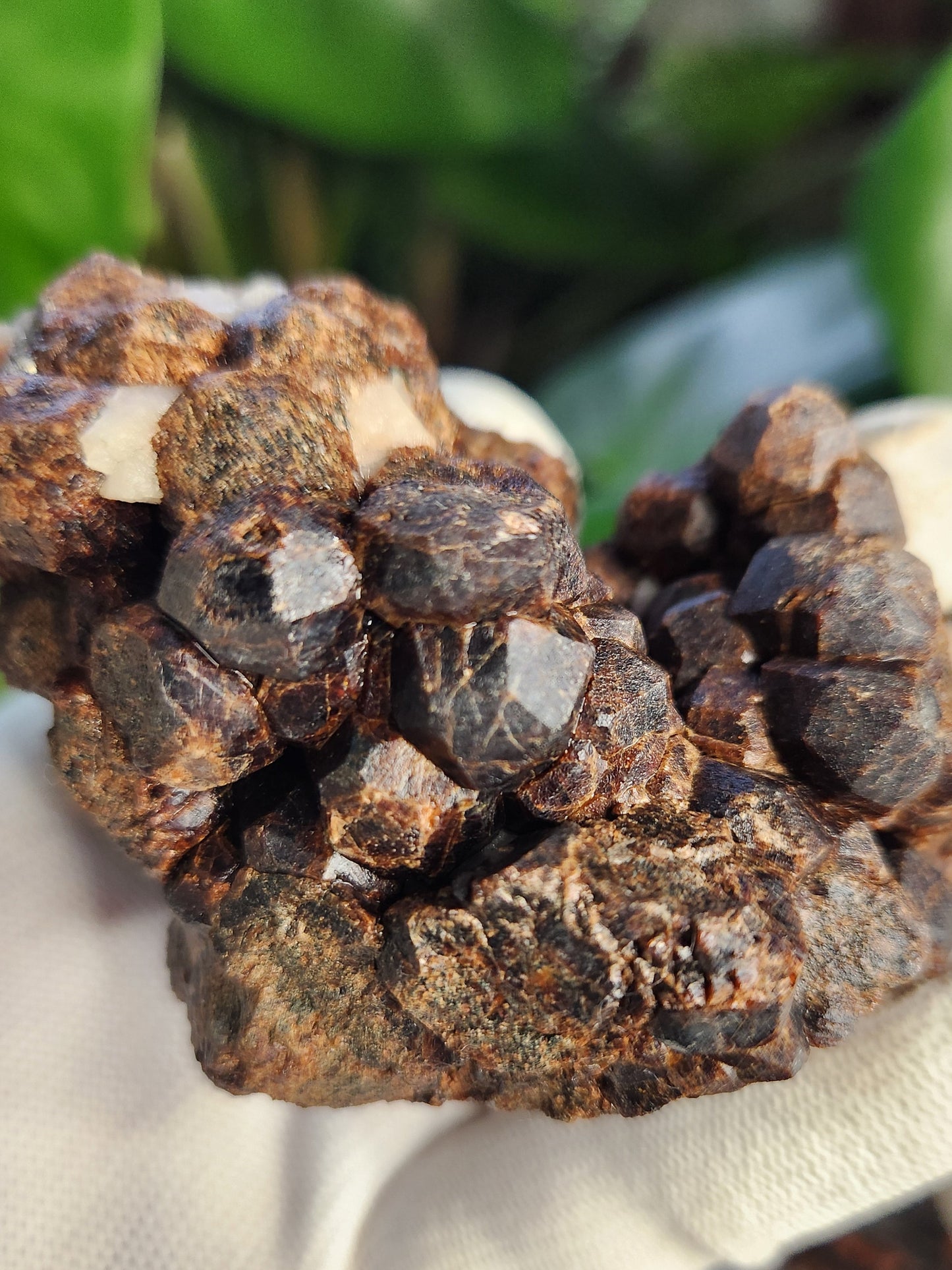 Natural Garnet on Matrix with Pyrite • Raw Almandine Garnet Cluster • Collector Mineral Specimen • Healing & Grounding Root Chakra Stone