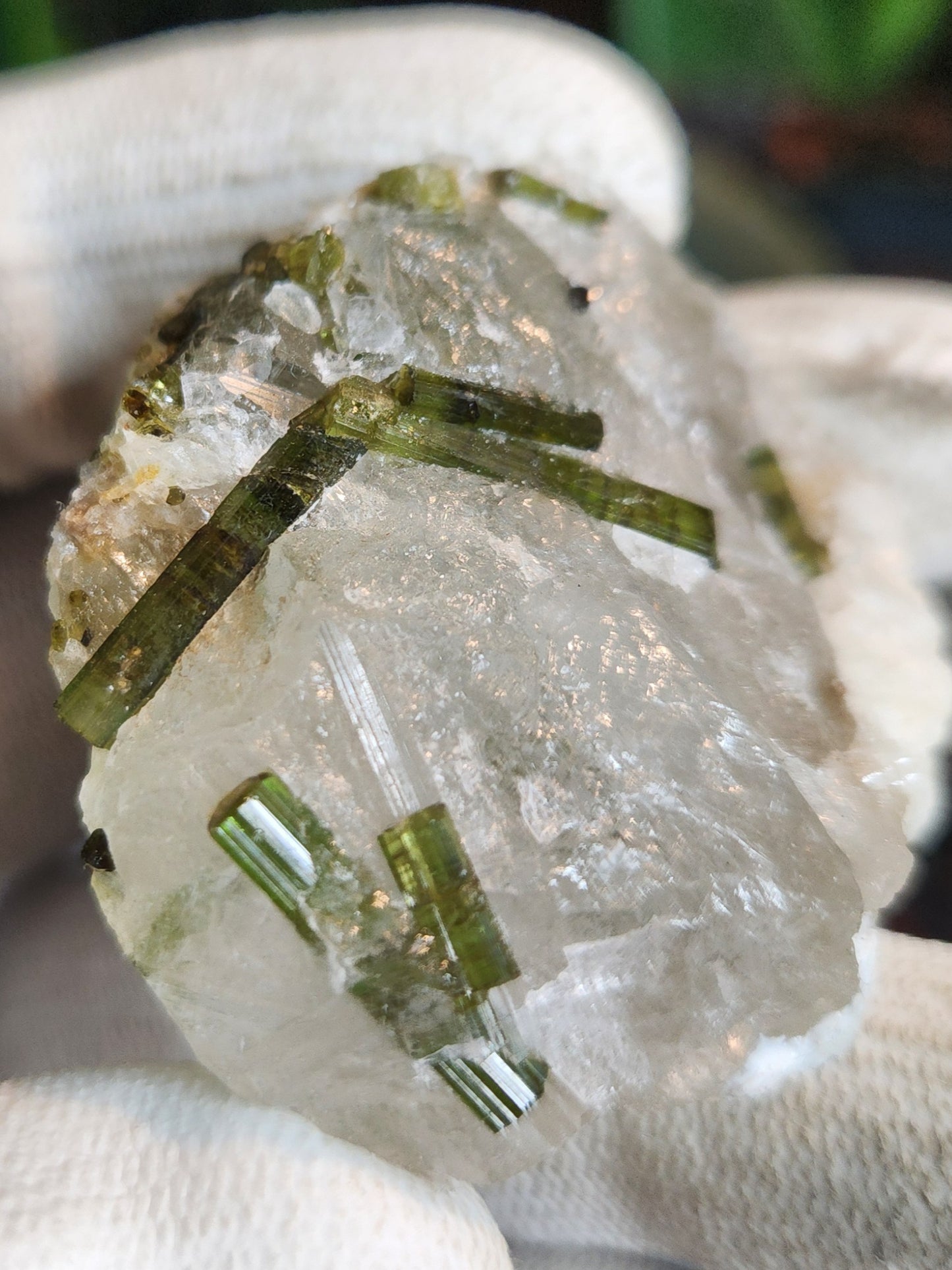 Green Tourmaline Crystals on Quartz Matrix | Natural Elbaite Collector Specimen