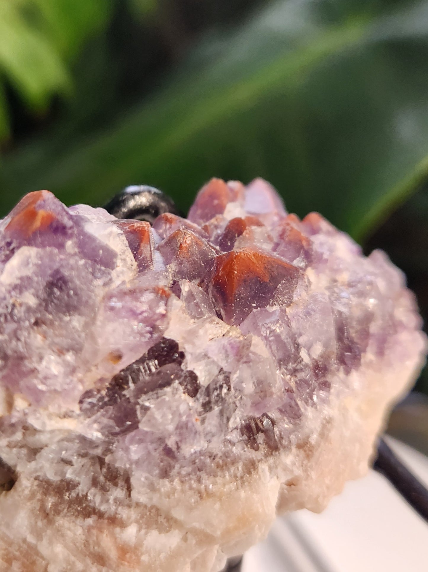Super 7 Red Cap Amethyst – Thunder Bay, Canada | Rare Hematite-Capped Amethyst • High Vibration Stone • Collector Specimen