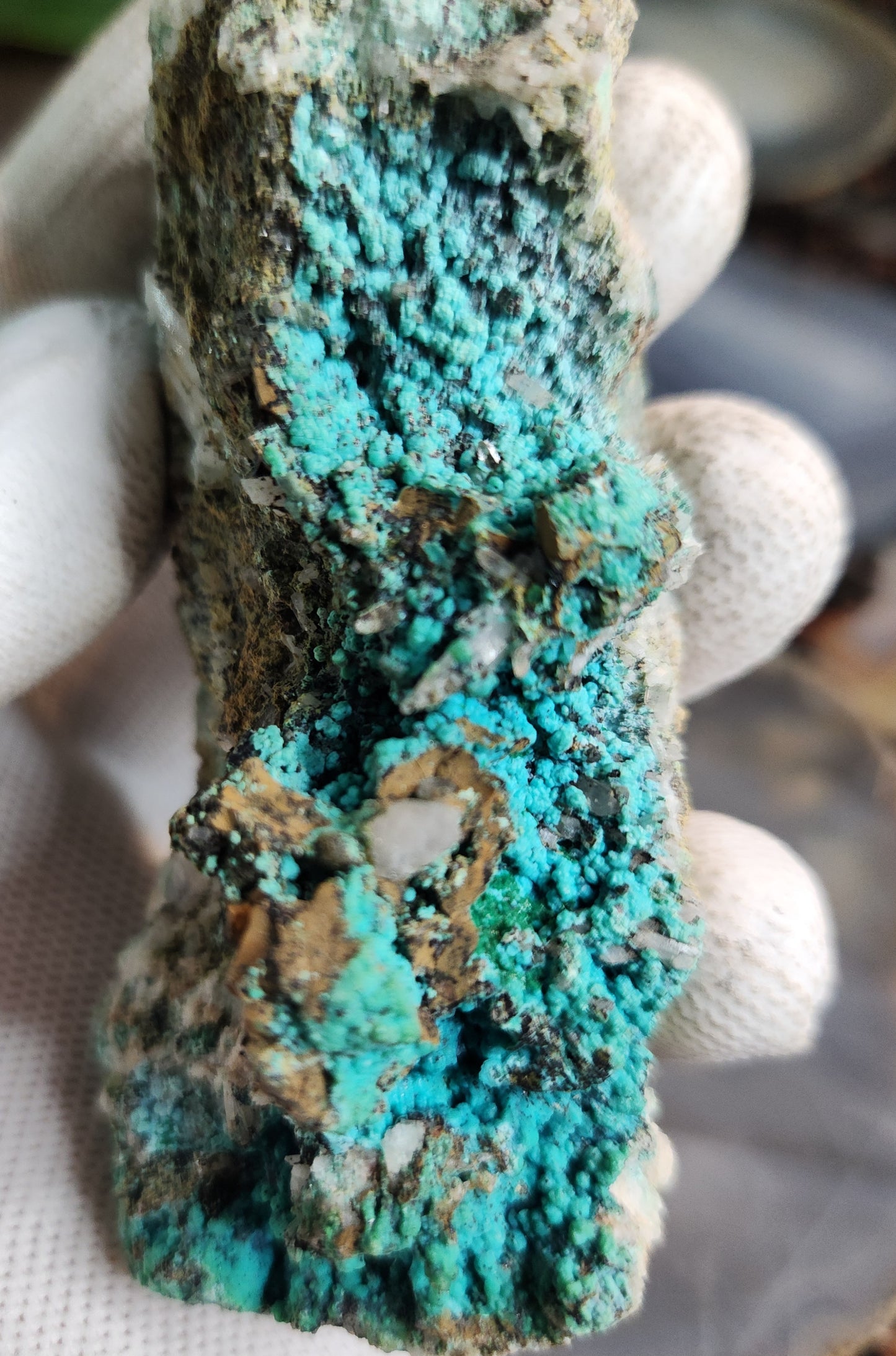 Aurichalcite on Matrix with Quartz – Vibrant Blue-Green Copper Zinc Carbonate Crystal