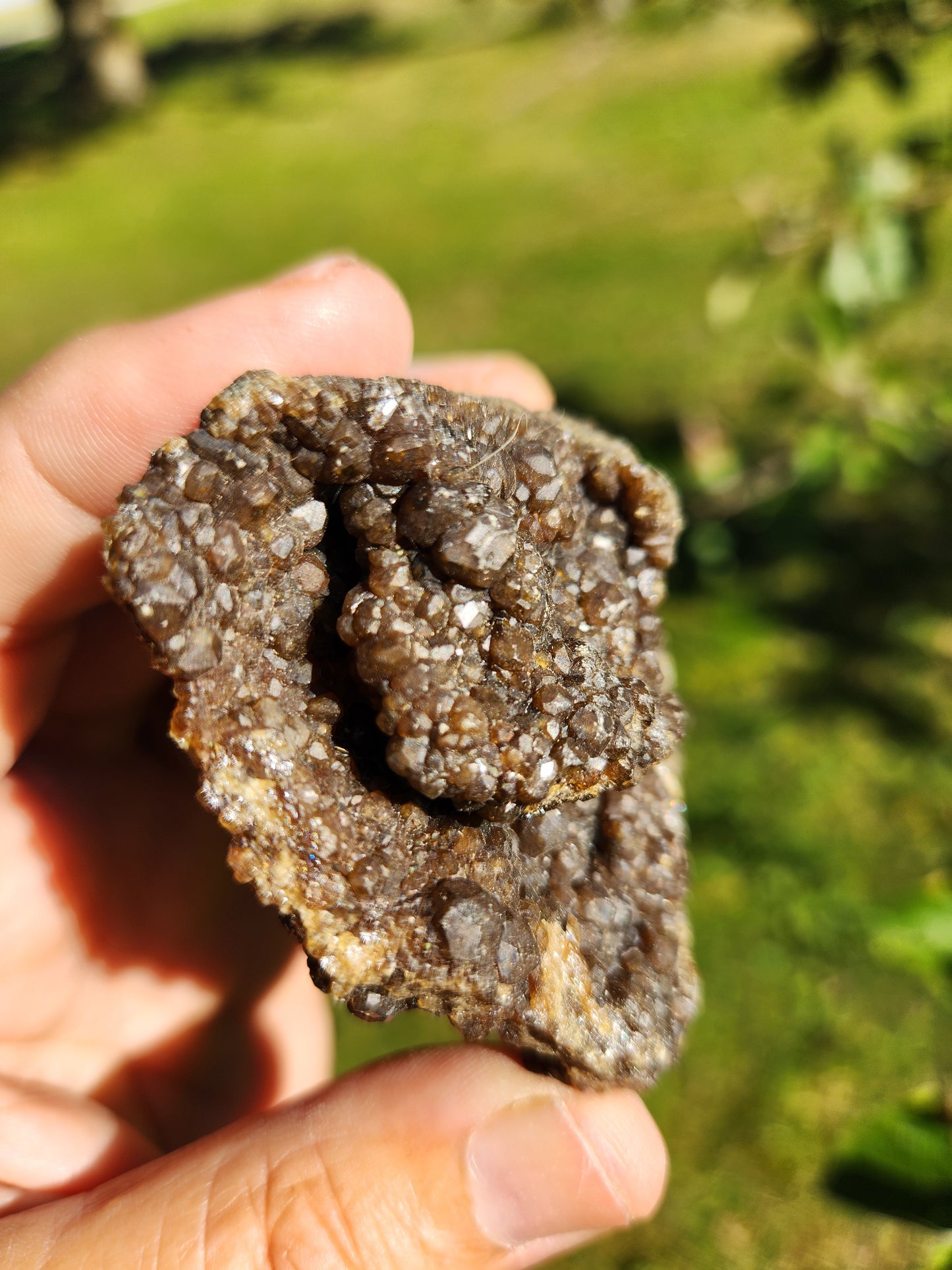 Gorgeous Garnet Crystal Cluster - detoxification , Physical Well-being