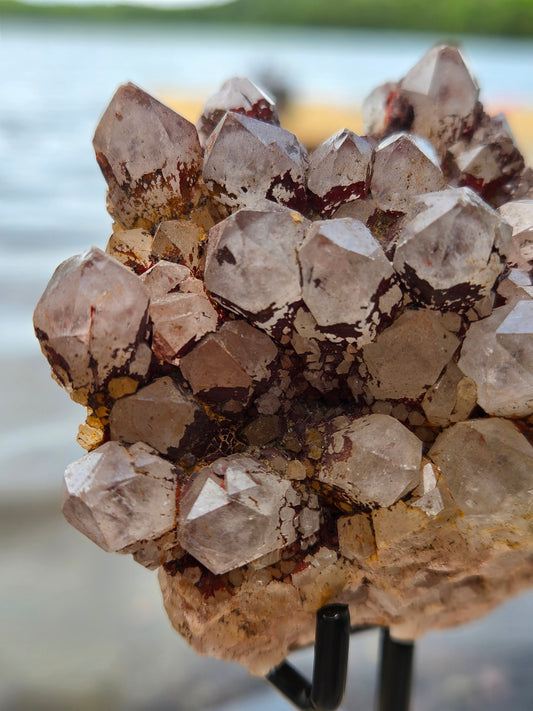 Black Pineapple Quartz with Hematite | Red Hematite Quartz Crystal Cluster