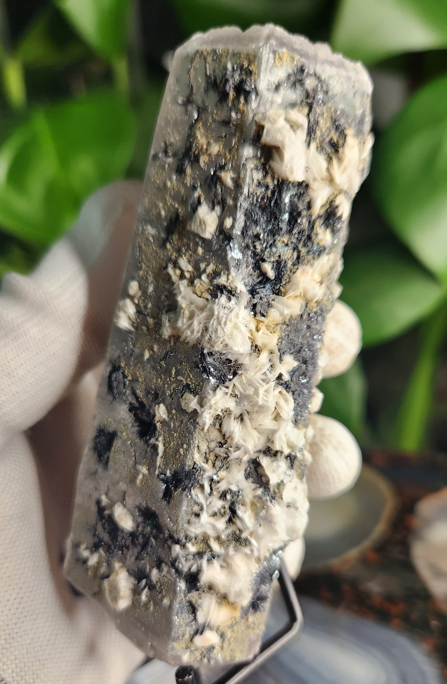 Pink Calcite on Chlorite Quartz with Specularite — Large UV-Reactive Crystal Specimen