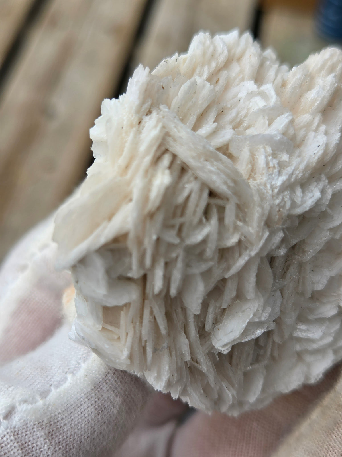 Angel Wing Calcite Crystal Cluster | White Bladed Calcite Mineral Specimen