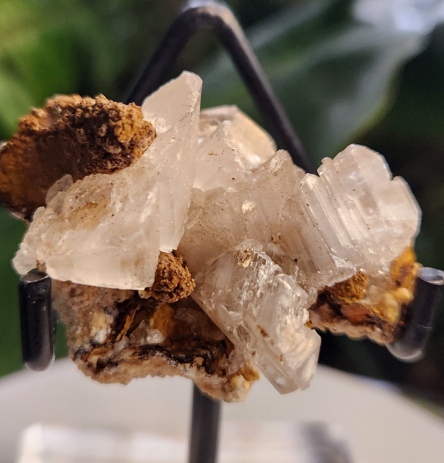 Blade Selenite Crystal Specimen — Natural Satin Spar Gypsum Cluster | Cleansing, Purification, High-Vibration Stone