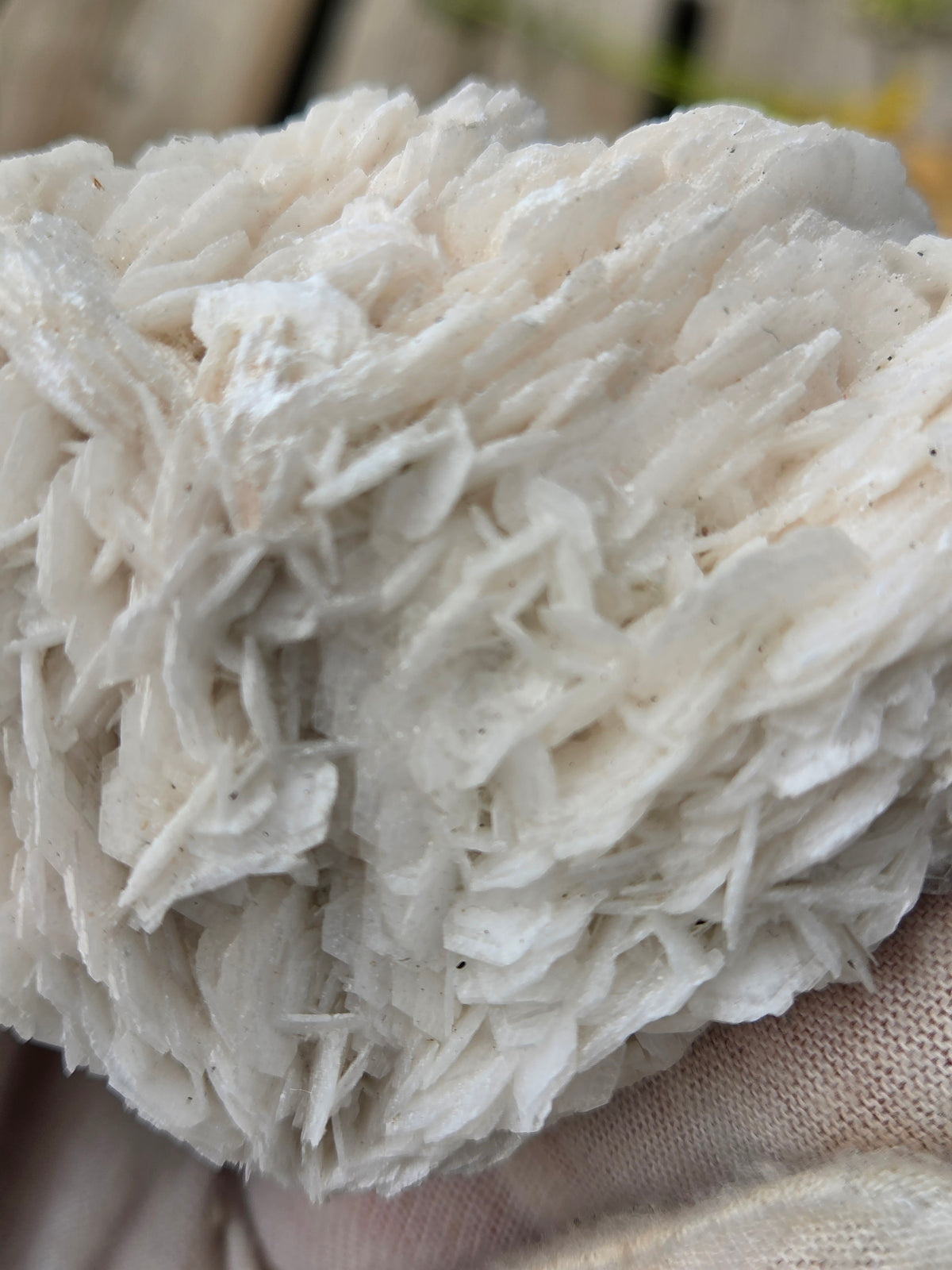 Angel Wing Calcite Crystal Cluster | White Bladed Calcite Mineral Specimen