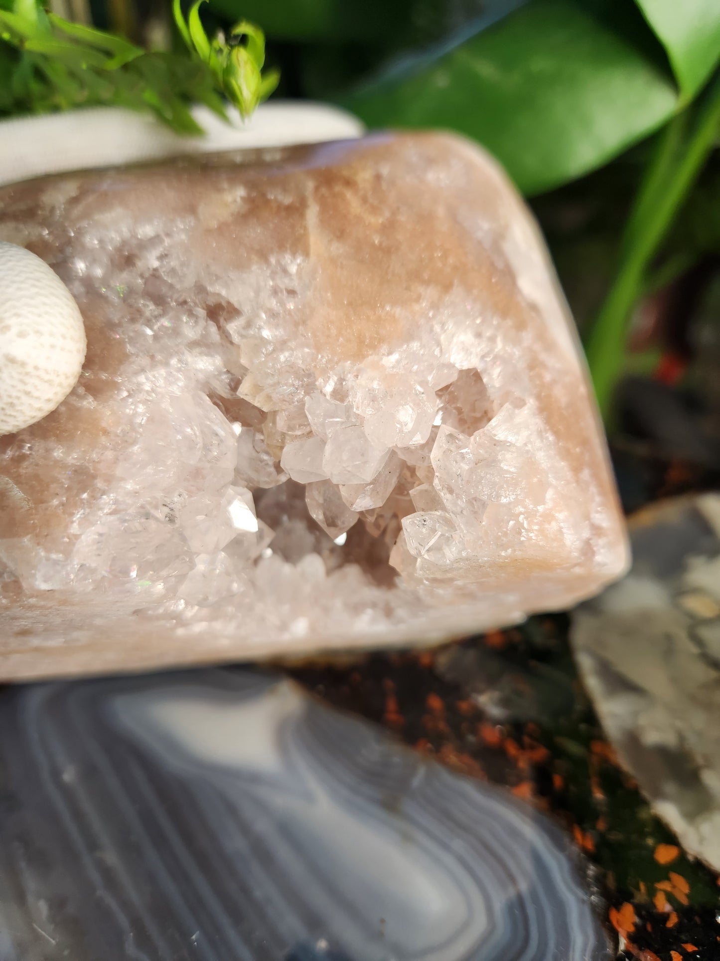 Large Pink Amethyst Druzy Crystal Cluster – Natural Raw Druzy Sparkling Display Stone