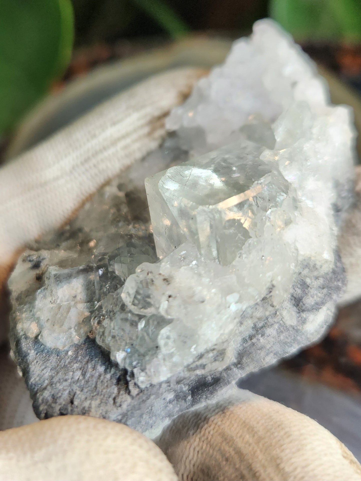 Uv Reactive Fluorite On Matrix With Large Cubic Fluorite Crystal | Collector Specimen