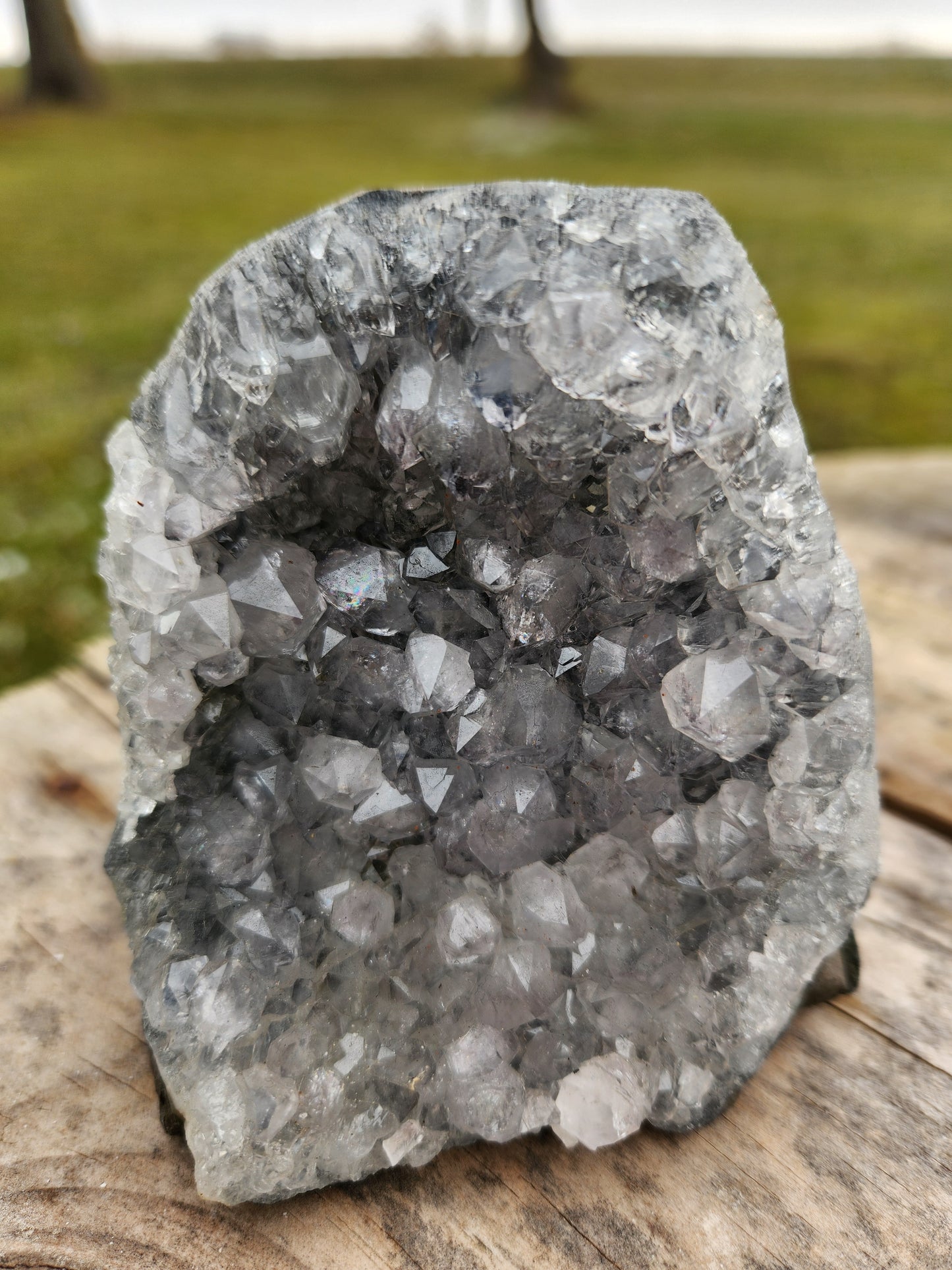 Stunning Amethyst Druzy Cluster from Brazil – Sparkling Purple Quartz Crystal Geode • Natural Healing Stone • Collector Display Specimen With Cut Base