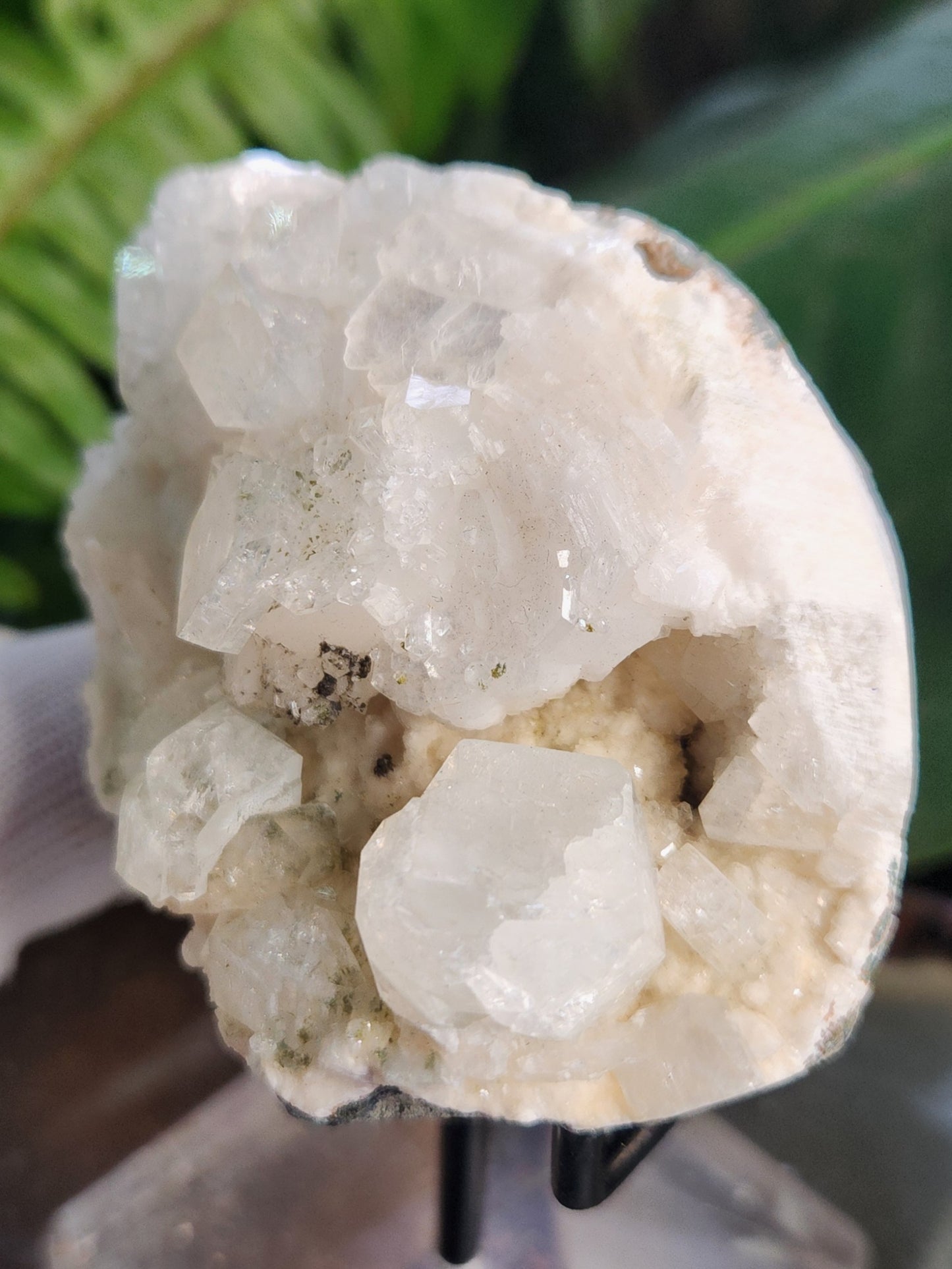 Stunning Natural Apophyllite Crystal on Stilbite – Cubic Apophyllite Zeolite Cluster from India