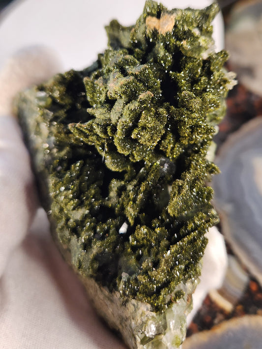 Rare Forest Epidote with Druzy Quartz – Sparkling Green Growth Crystal | Collector Mineral | Grounding & Abundance Stone