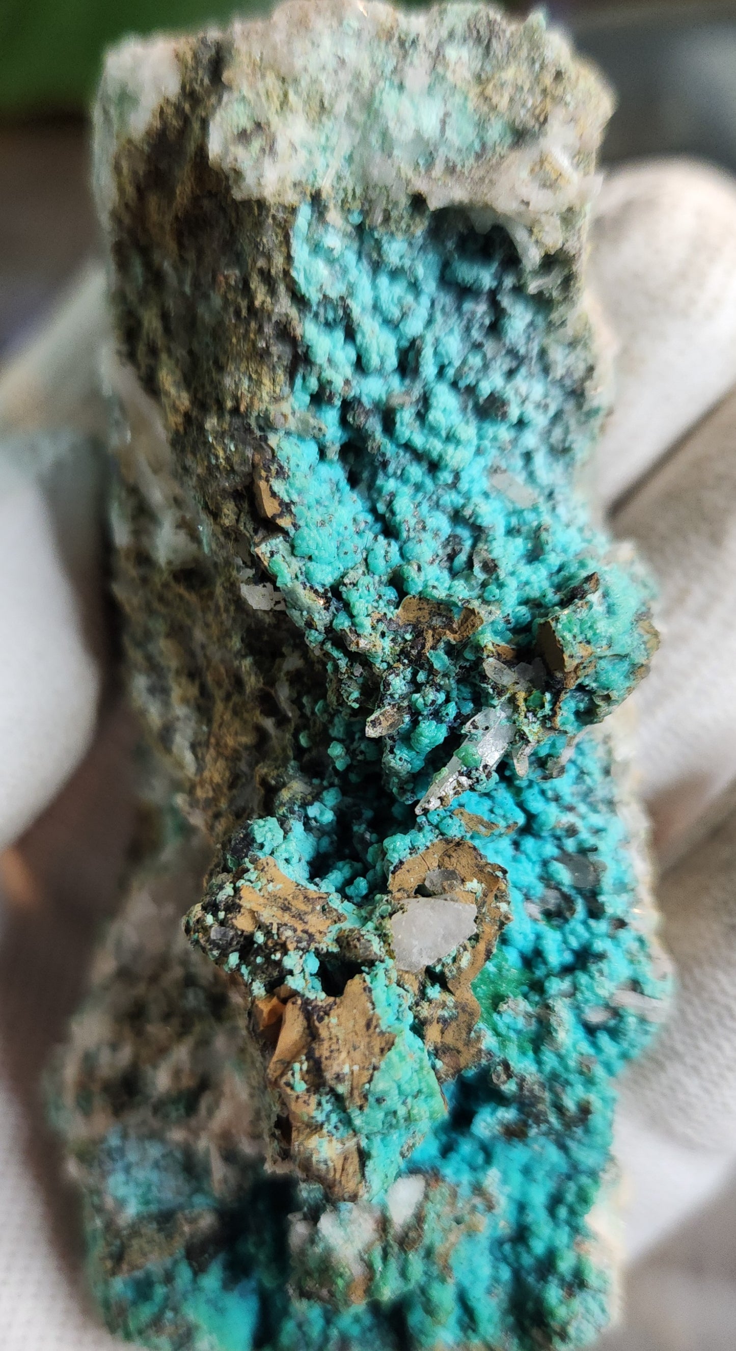 Aurichalcite on Matrix with Quartz – Vibrant Blue-Green Copper Zinc Carbonate Crystal
