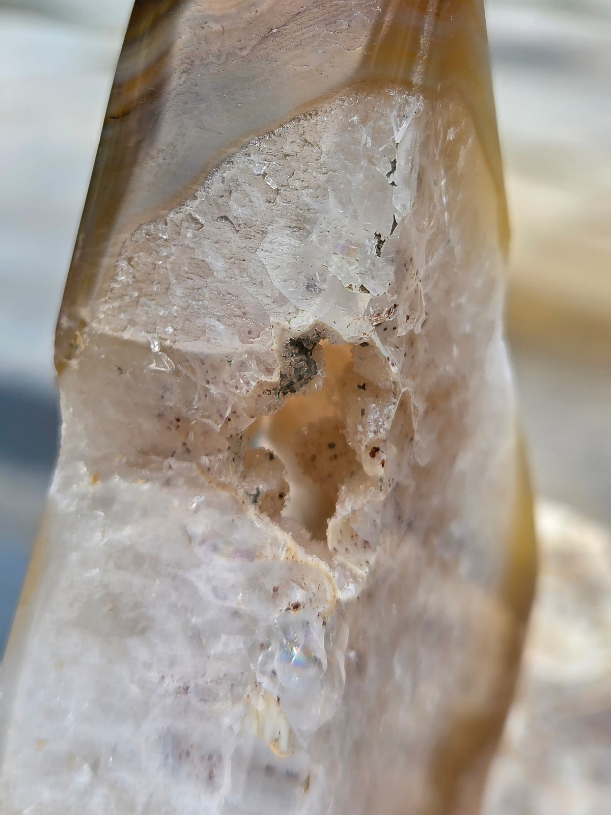 Druzy Agate Tree | Polished Agate Crystal with Druzy Pocket