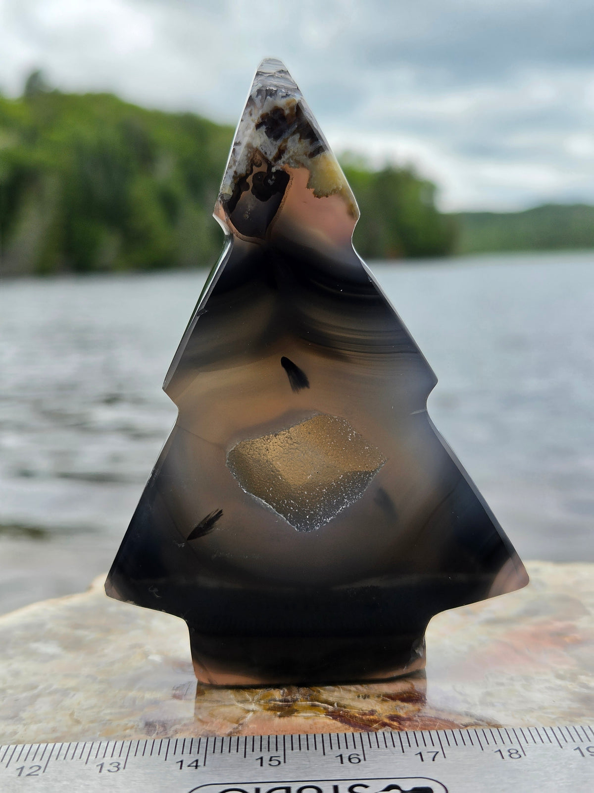 Druzy Agate Tree | Polished Agate Crystal with Druzy Pocket