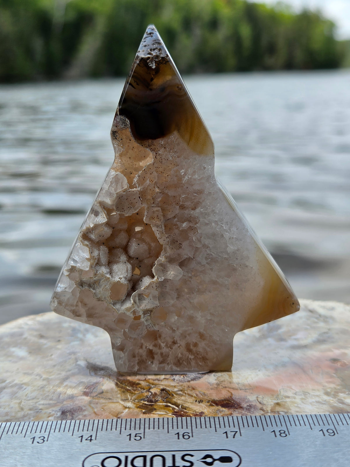 Druzy Agate Tree | Polished Agate Crystal with Druzy Pocket