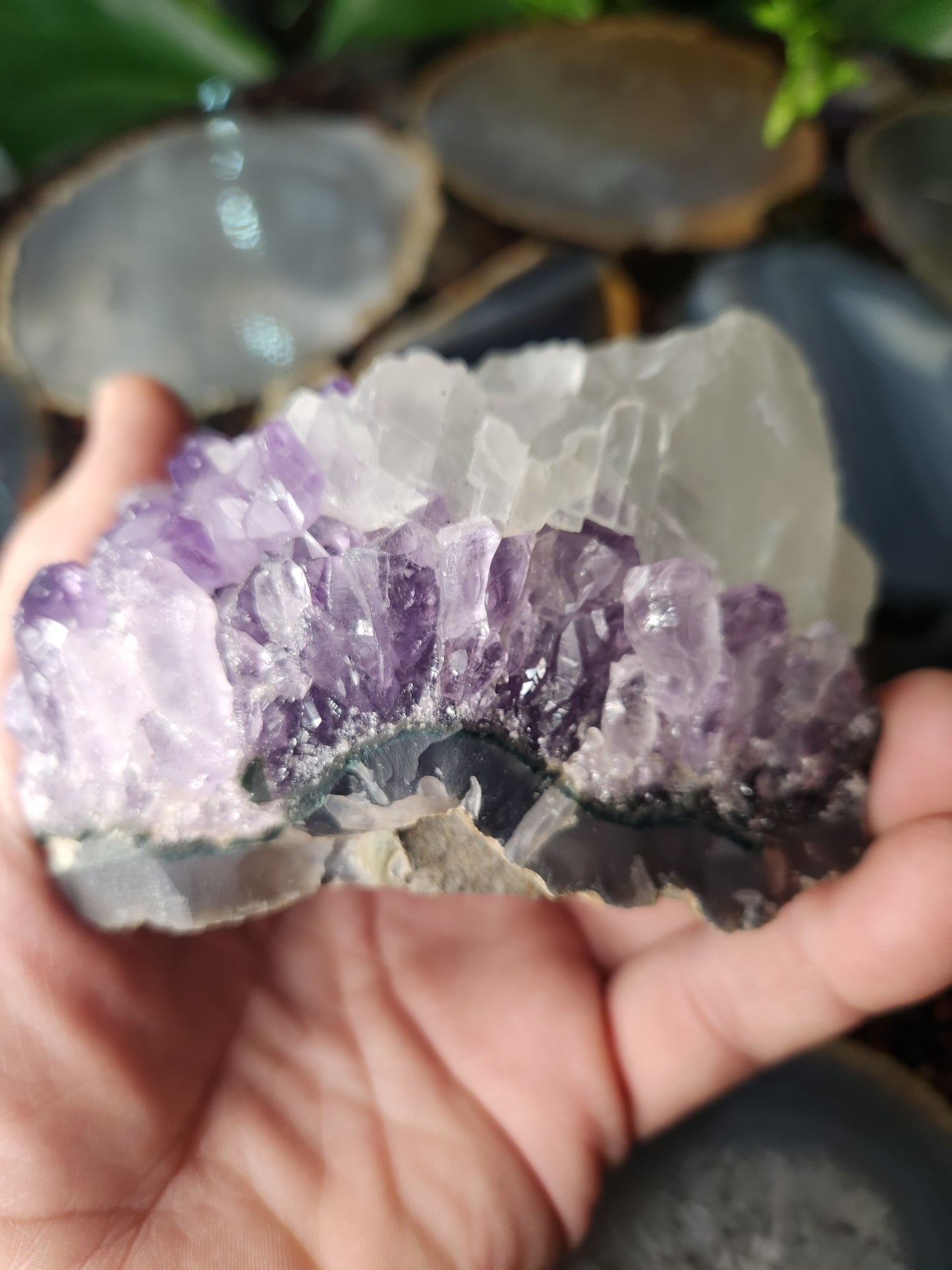 Large Deep Purple Amethyst Geode with White Calcite – Energy Amplifier | Brazilian Crystal Specimen